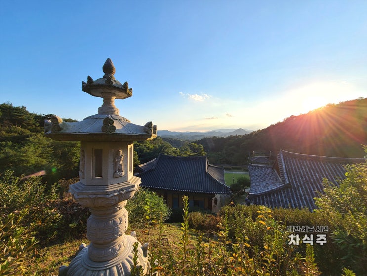 세종시가볼만한곳 전의면 비암사