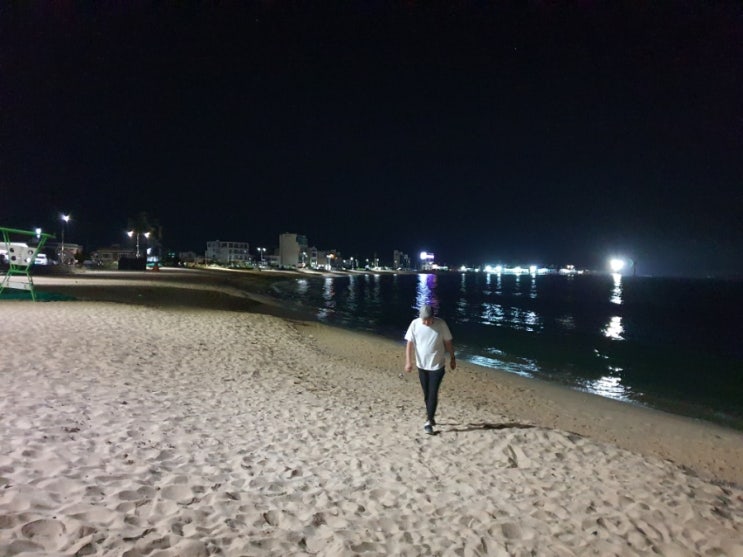 고성 강아지와 당일치기 새벽 아야진 해변 산책
