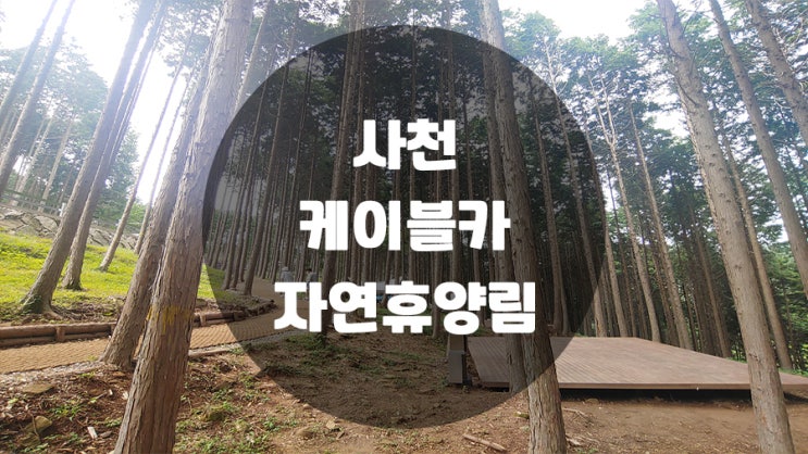  사천 케이블카 자연휴양림 구석구석 알아보기