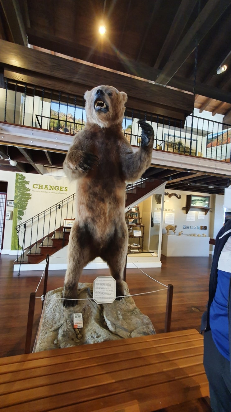 박물관(Pacific Grove Museum of Natural HistoryMonterey State Historic Park ...)2021.9.19. 일.