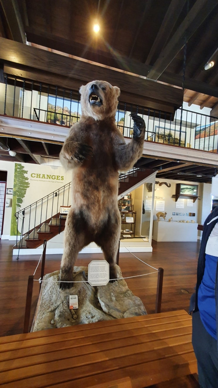 박물관(Pacific Grove Museum of Natural HistoryMonterey State Historic Park ...)2021.9.19. 일.