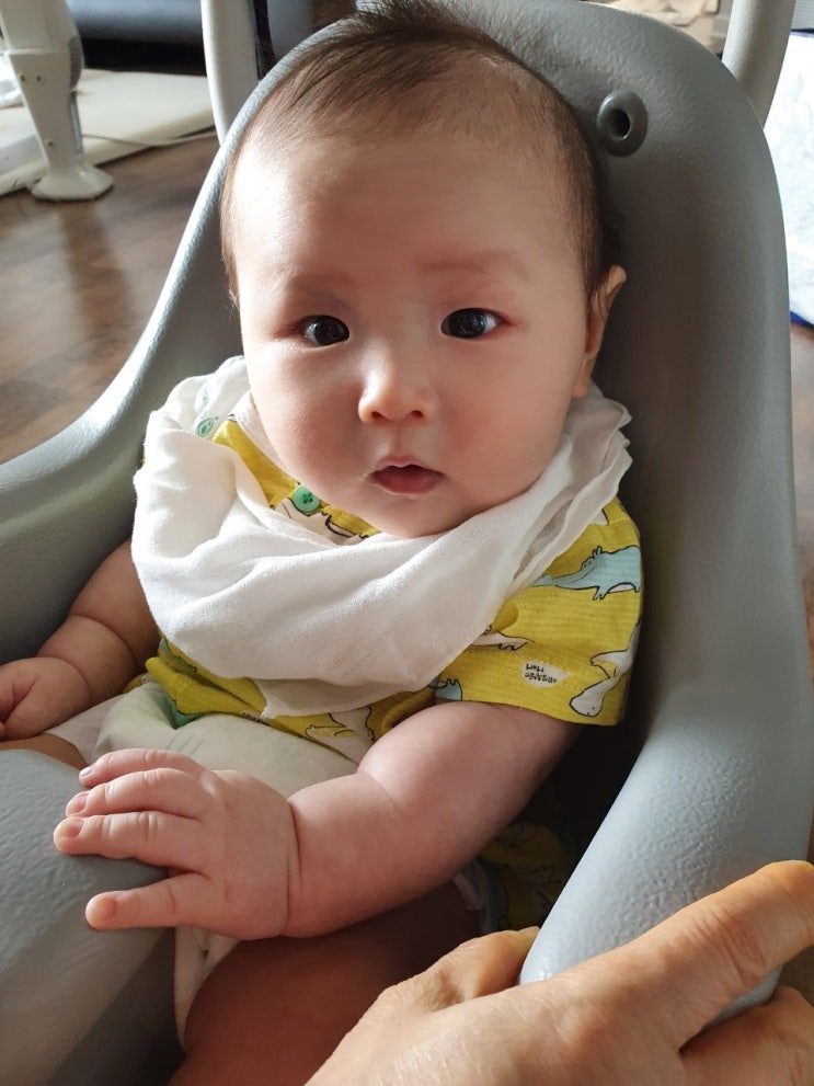  [아기의자] 유아 이유식의자 에시앙 사용시기는 언제부터? 당근구매/가격/실사용후기 (ESSIAN P에디션)