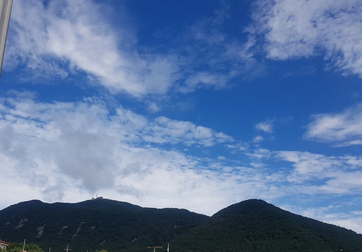  다시 시작..그리고 새로운 도전