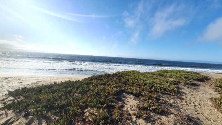  Sand City Beach
