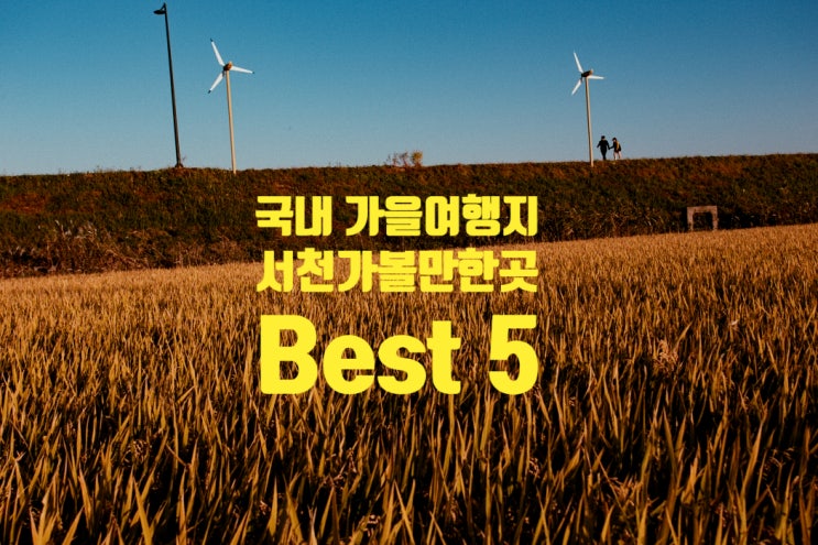 국내 가을 여행지 추천, 서천 가볼만한곳 신성리 갈대밭 외 4곳, 서천맛집까지 국내 가을 여행지 추천, 서천 가볼만한곳 신성리 갈대밭 외 4곳, 서천맛집까지