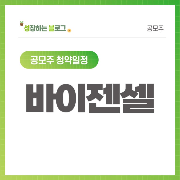  바이젠셀 공모주 청약일정 (8월 12~13)