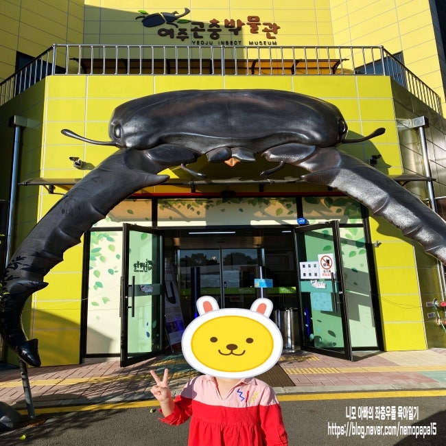 여주 곤충박물관을 가다 여주 곤충박물관을 가다