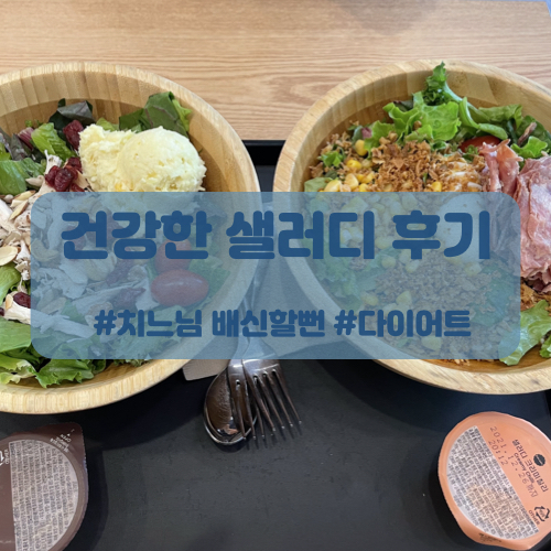  건강한 다이어트를 위한 셀러디 / salady 후기