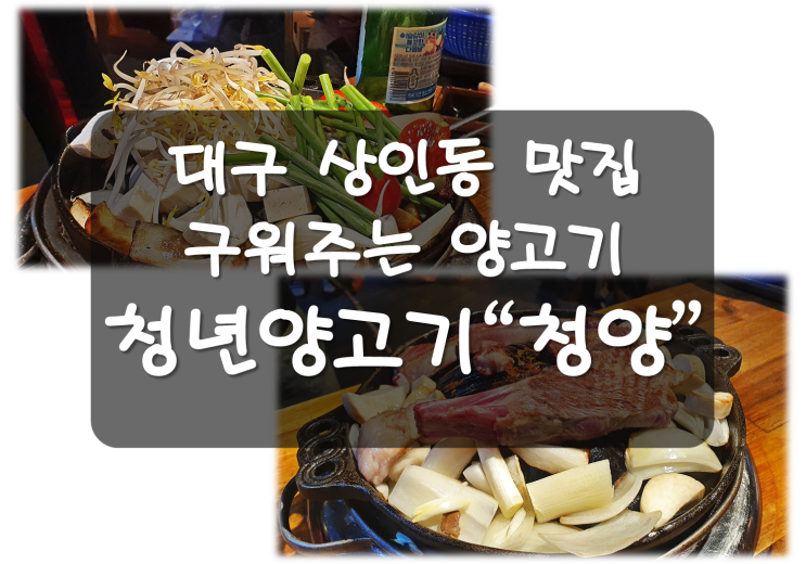 대구 양고기 맛집 / 상인동 청년양고기"청양"