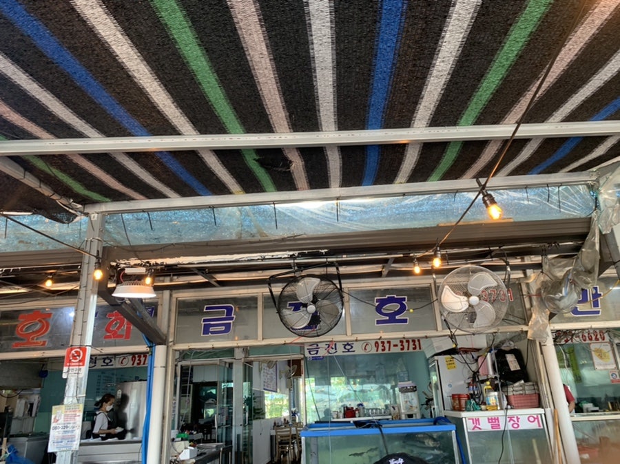 금진호 사진 4