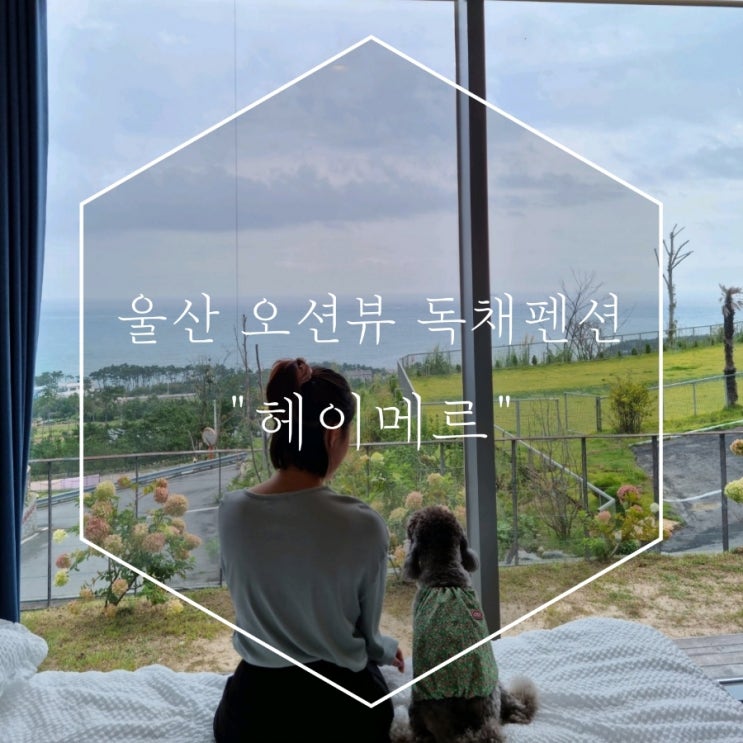  헤이메르펜션 방 안에서 일출뷰 감상해요