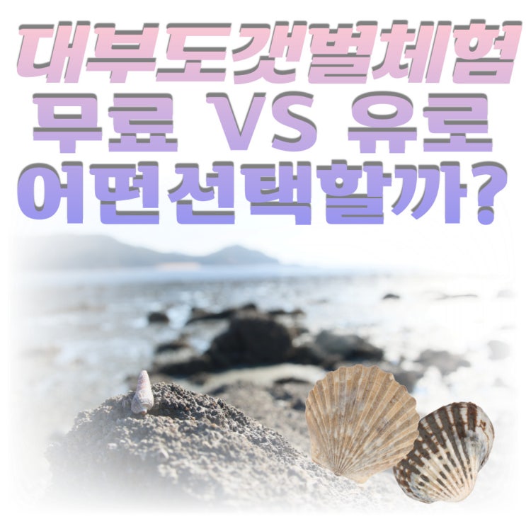 대부도 갯벌체험 무료체험부터 유료체험까지 경험을 토대로 알려드림
