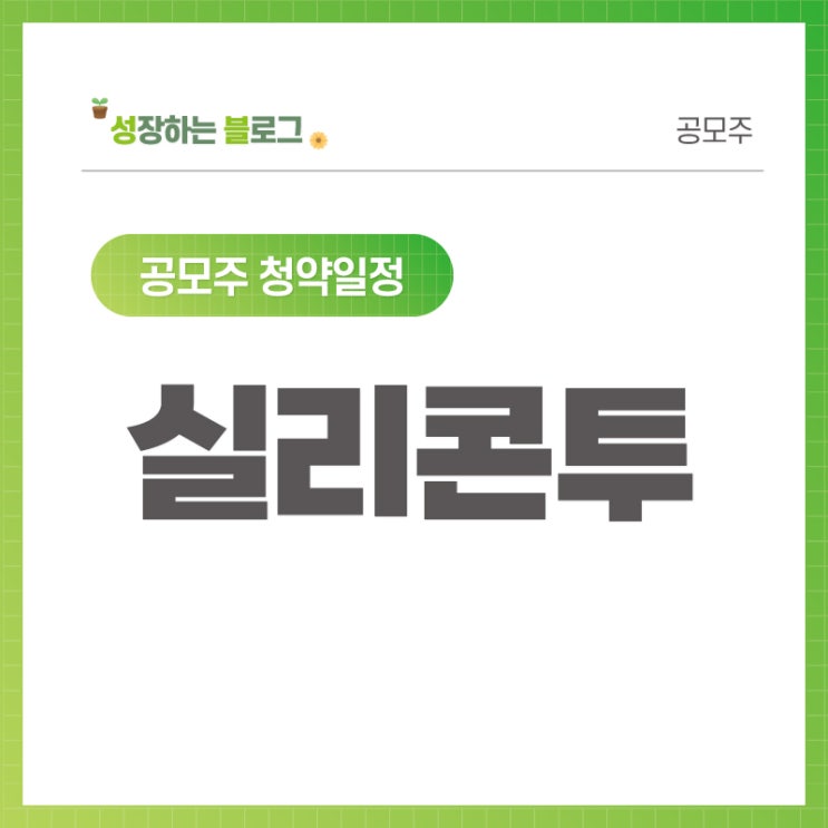  실리콘투 공모주 청약일정 (9월 14~15일)