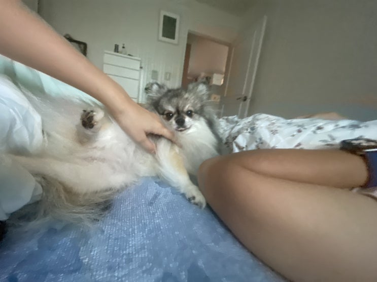  꾸꾸와 함께한 추석 연휴 첫날