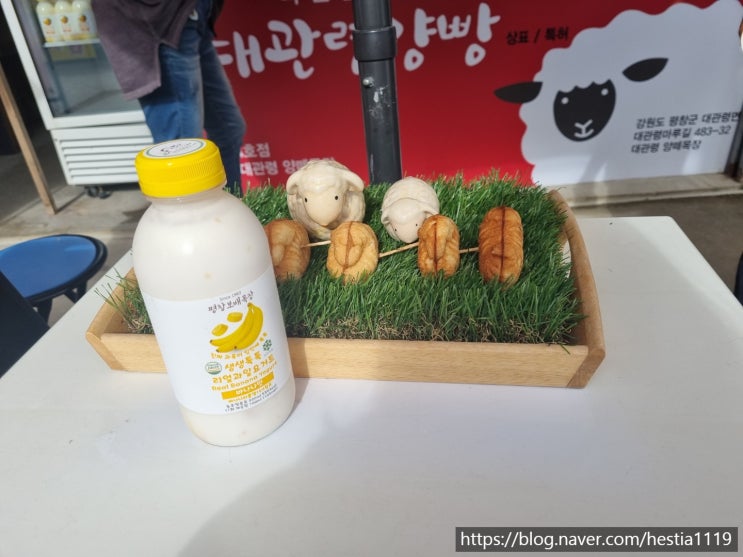  [강릉] 대관령 양떼 목장에서 양빵이랑 생생 과일 요거트 먹어보았어요! 