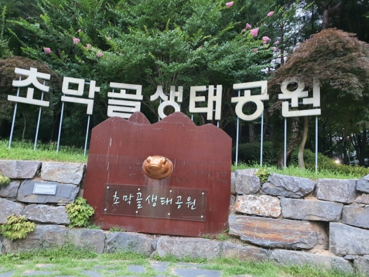  초막골생태공원과 수리산황톳길 맨발걷기로 내몸 활성산소 배출하다.