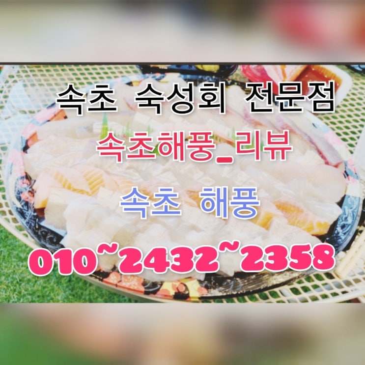  속초해풍_숙성회맛집