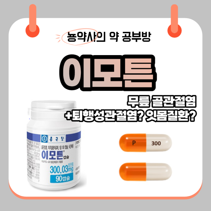  [뇽약사] 종근당 이모튼캡슐, 무릎 관절염약, 퇴행성관절염약, 잇몸약, 턱관절약???? 성분, 적응증, 부작용, 주의사항까지