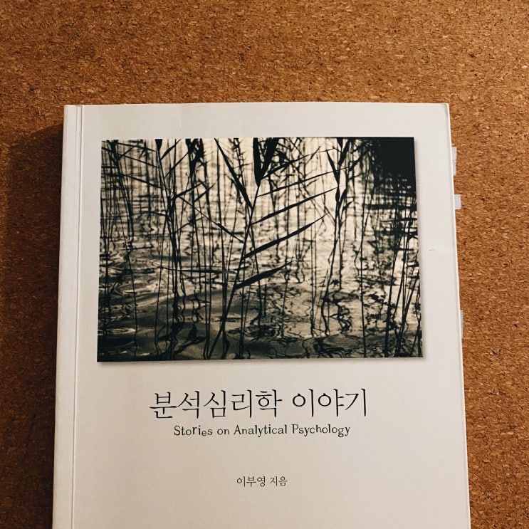 『분석심리학 이야기』, 이부영