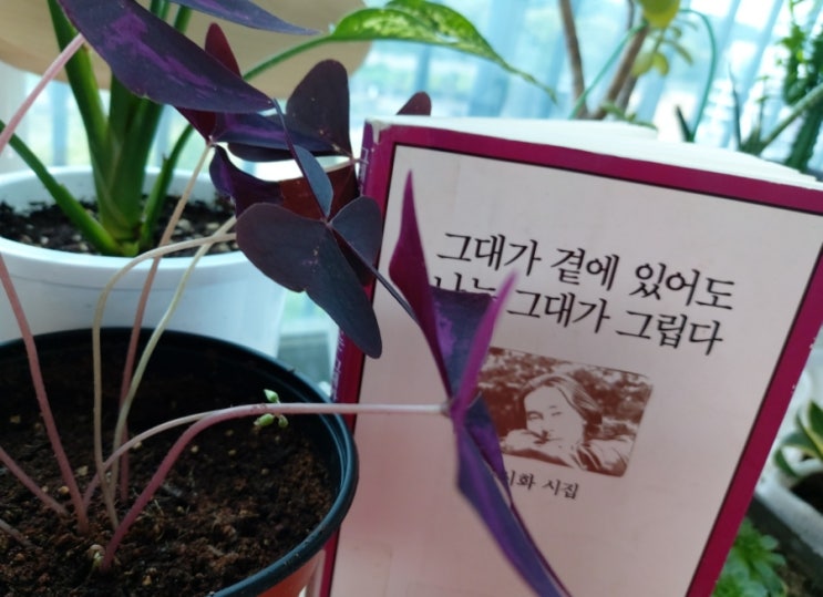 <시> 길 위에서의 생각 류시화 <시> 길 위에서의 생각 류시화