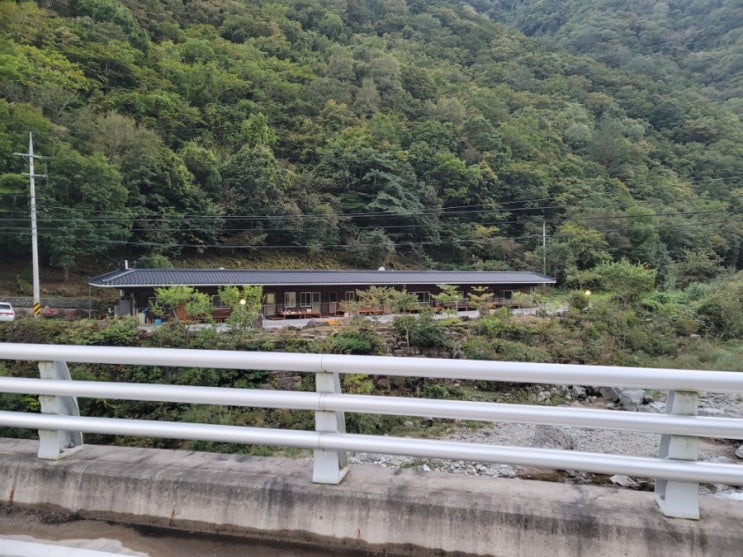  정선 민박 펜션과 다른 감성숙소 긴집민박과 주변 가볼만한 곳