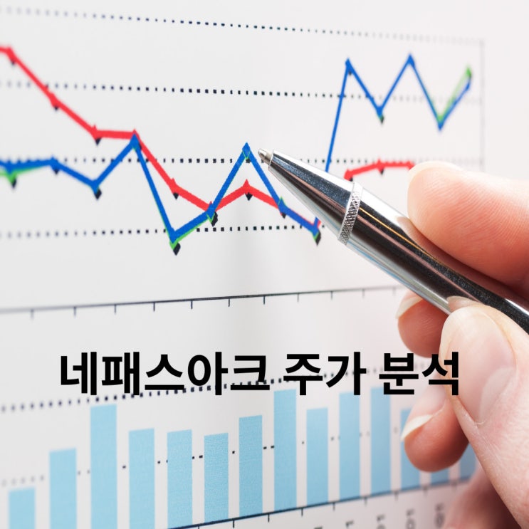  네패스아크 - 대규모 투자로 인한 실적 성장 기대
