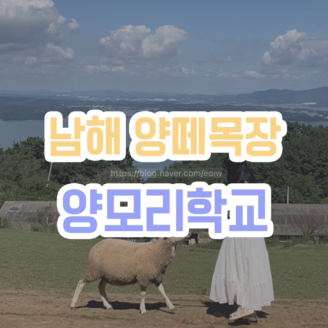 [남해양떼목장] 남해가볼만한곳, 양모리학교