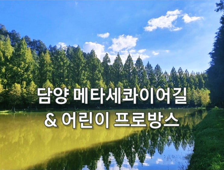  담양 메타세콰이어길, 어린이 프로방스 (ft. 담양 아이와 가볼만한 곳)