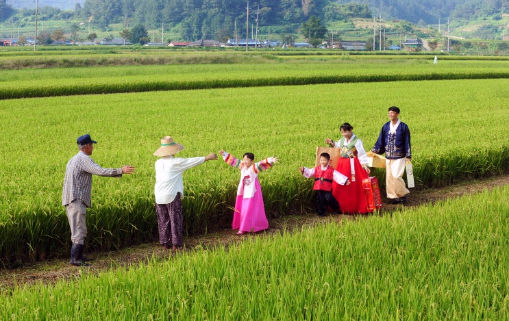  명절에 하지 말아야 할 말과 행동