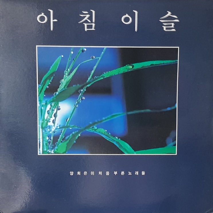  양희은