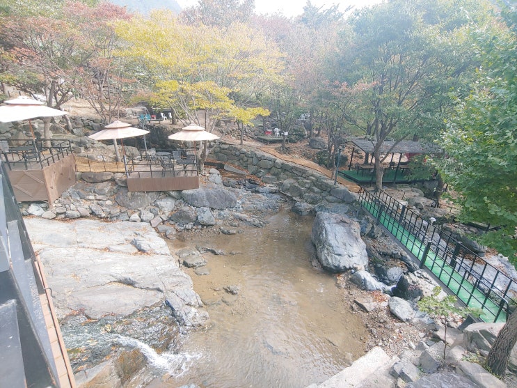  자연에 힐링하는 곳 / 달성군 현풍 카페담