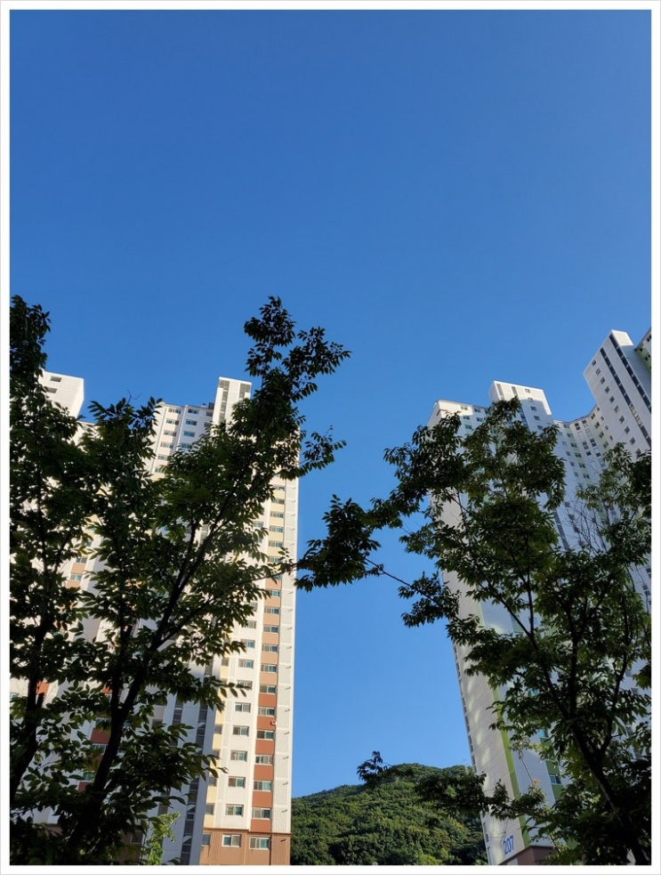 2021년 추석 연휴는 거리 두기 / 가족 모임 자제하기/ 이번 추석은 집에서 조용히 보내기