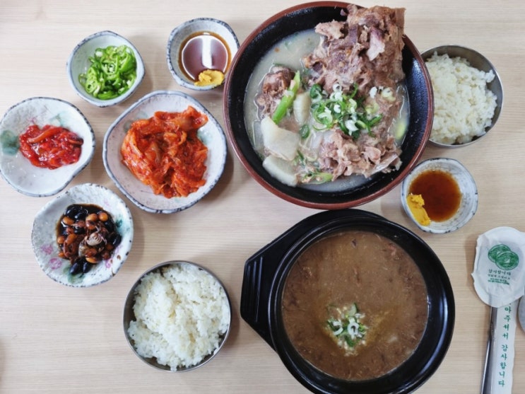  제주 접짝뼈국 고사리육개장 맛있는 공항근처 닥그네할망