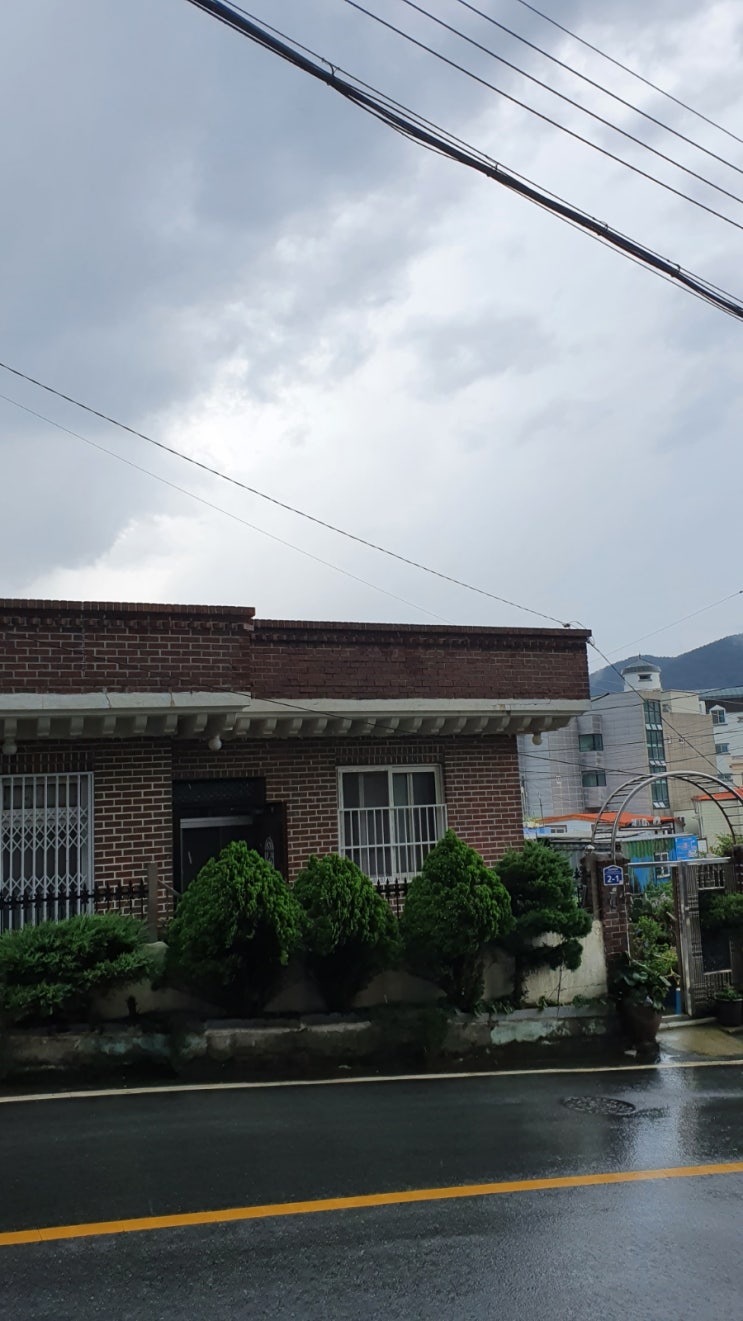  비오는 지금, 산책을 멈추고.