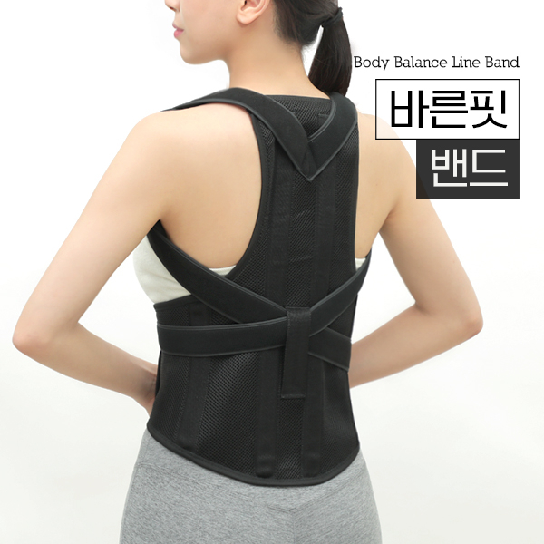  인기있는 바디보감 바른자세 바른핏 밴드 L, 1개 ···