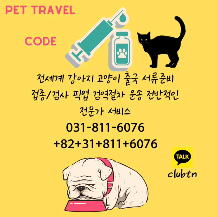  고양이 강아지한국데려오기 강아지 고양이 해외출국 반려견한국입국