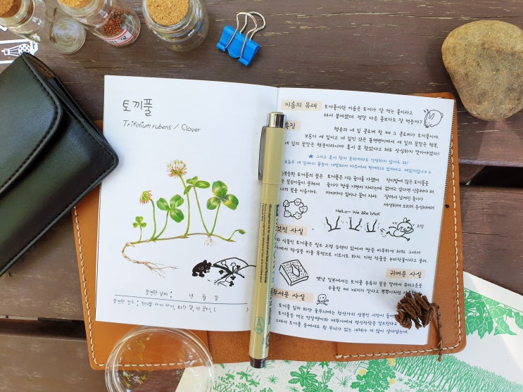  독립출판 <도시 식물 탐험대 urban plant guidebook>