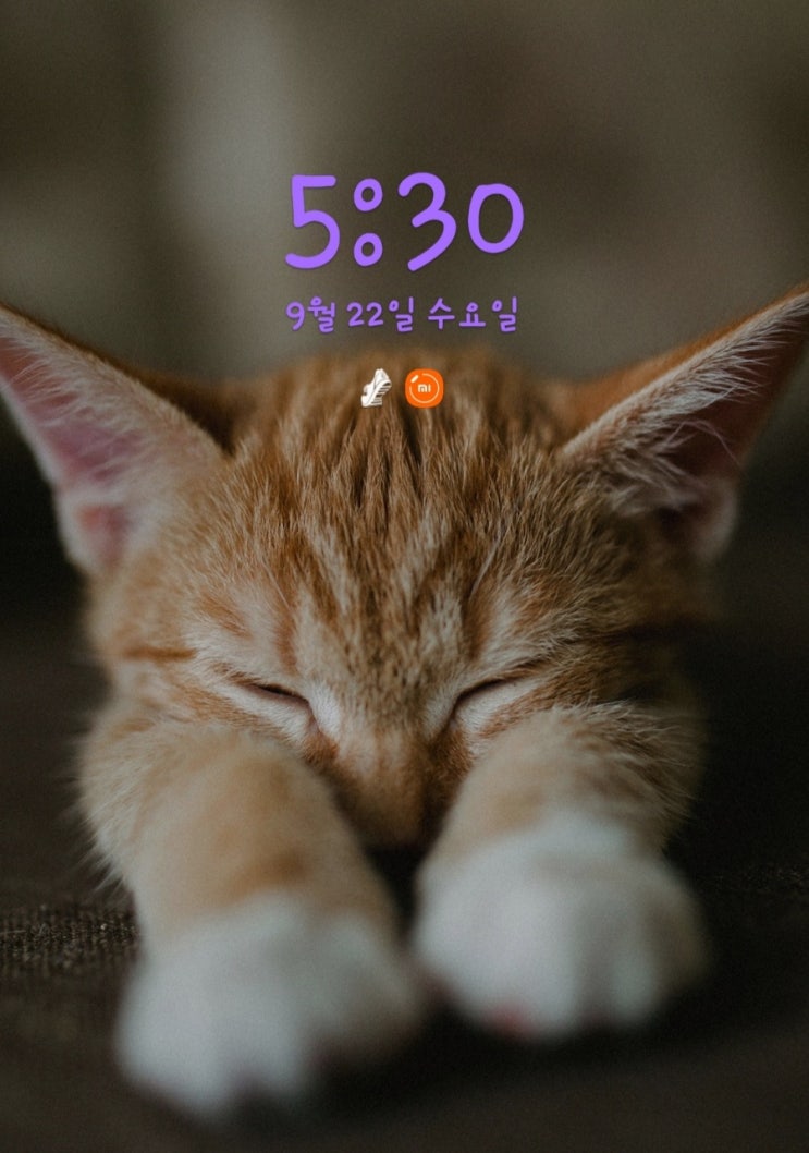  [미라클모닝 D-64] 세상에서 가장 우아한 복수 ....