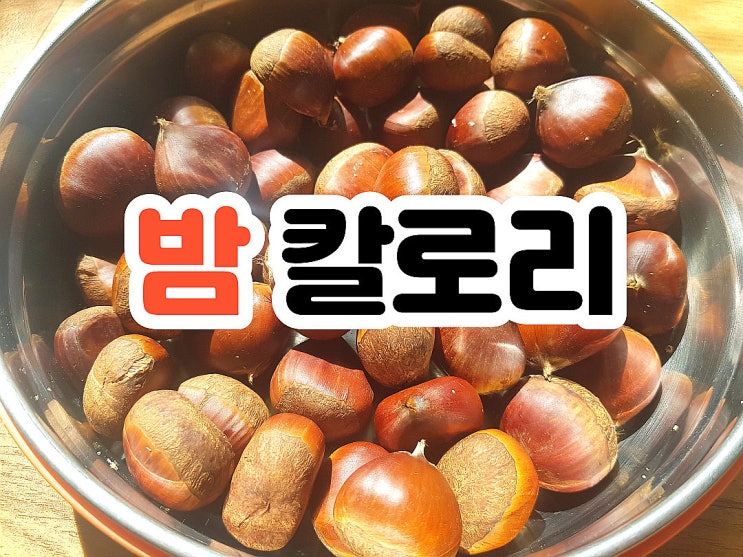  생밤 삶은밤 칼로리 밤 탄수화물 영양소등 알아보기!