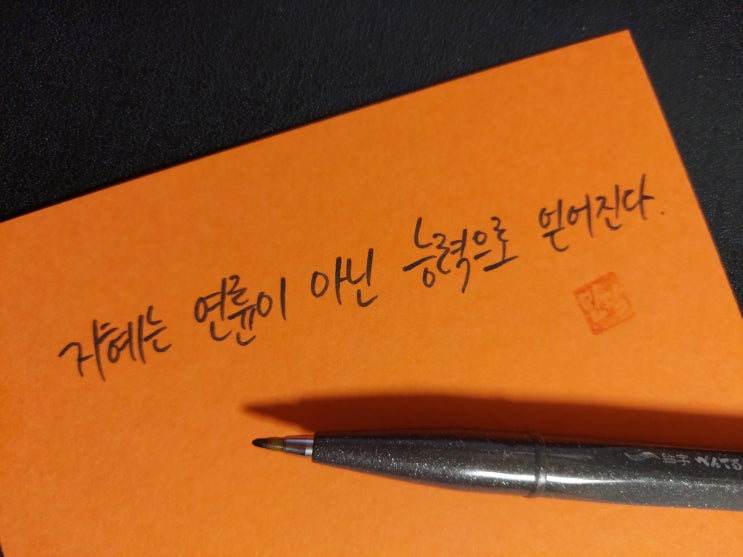  [초보 캘리그라피] 플라우투스 명언 손글씨 모음