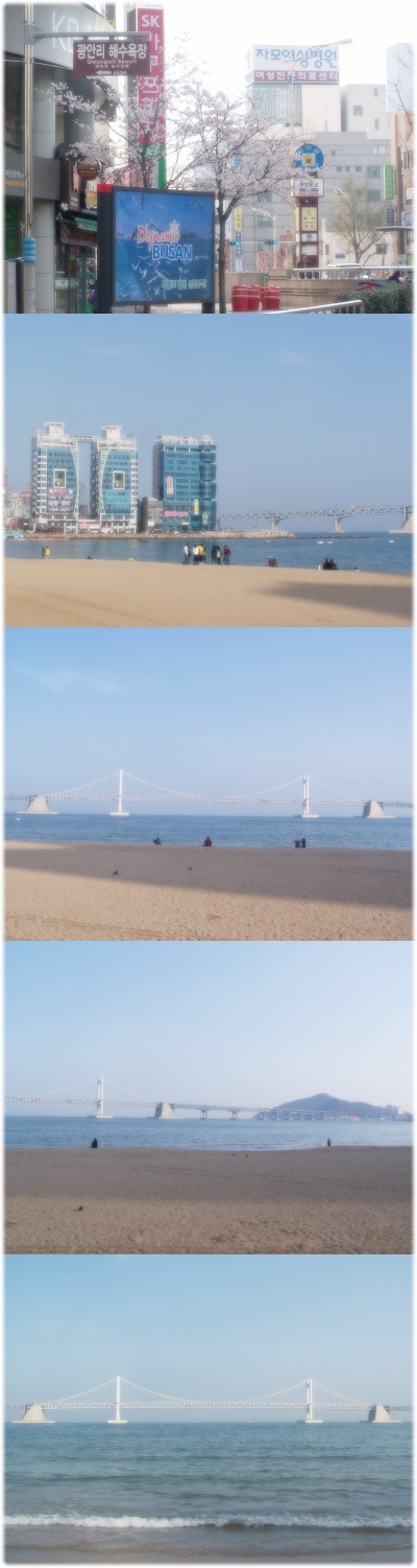  부산사람이 떠난 부산 여행기
