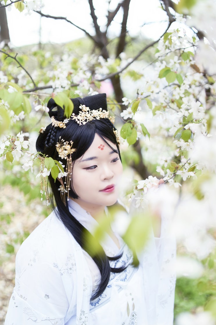  210404 벚꽃촬영 한푸 베르닌님