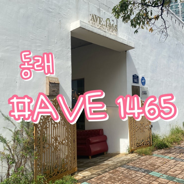 [동래 카페] AVE 1465 카페/ 애견동반 가능한 루프탑 카페!!