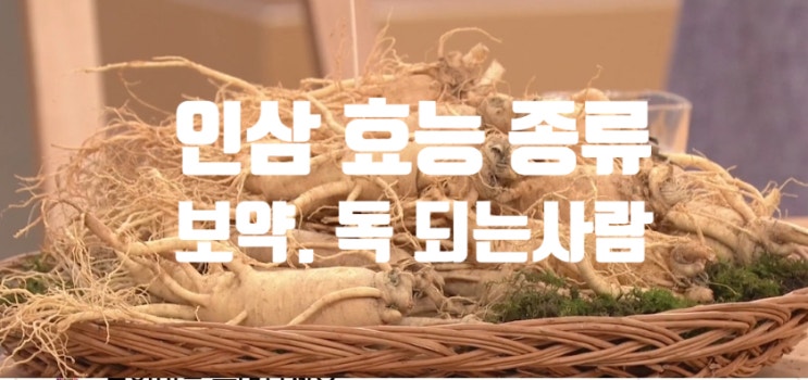  인삼 효능 (ft. 보약 독 되는 사람 먹는 법) 종류 영양 성분 궁합 식품