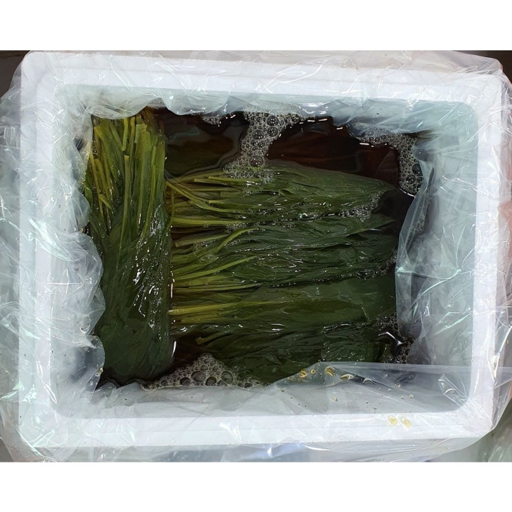 갓성비 좋은 명이나물 10kg 공장직송 A급 프리미엄 참명이 장아찌 식당 업소용, 참명이 프리미엄(정리잘된) ··· 갓성비 좋은 명이나물 10kg 공장직송 A급 프리미엄 참명이 장아찌 식당 업소용, 참명이 프리미엄(정리잘된) ···