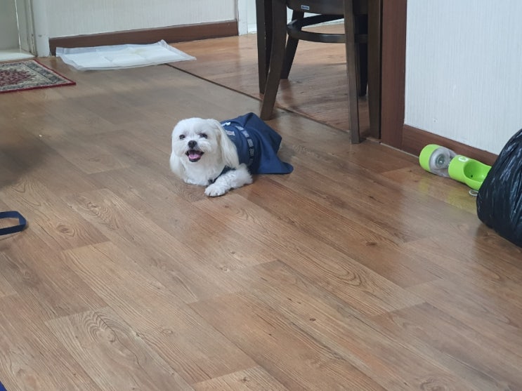  9/21 ~22 구찌와눈누일상