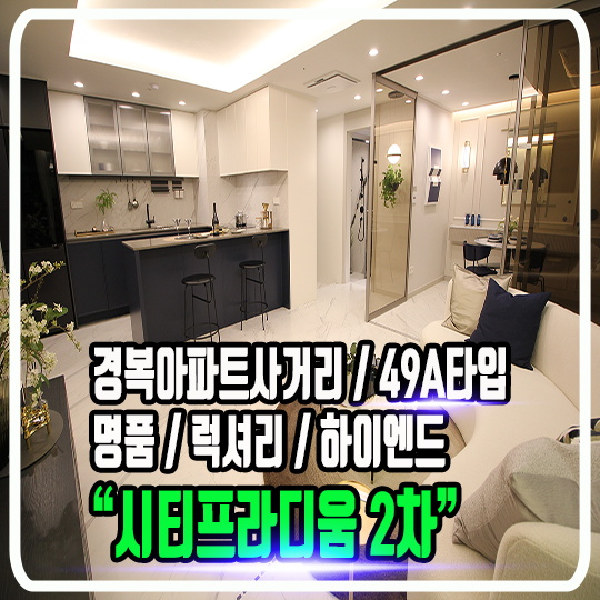  시티프라디움 더강남 2차 - 역삼동 고급 소형주거 하이엔드 신축 / 정보 및 타입소개