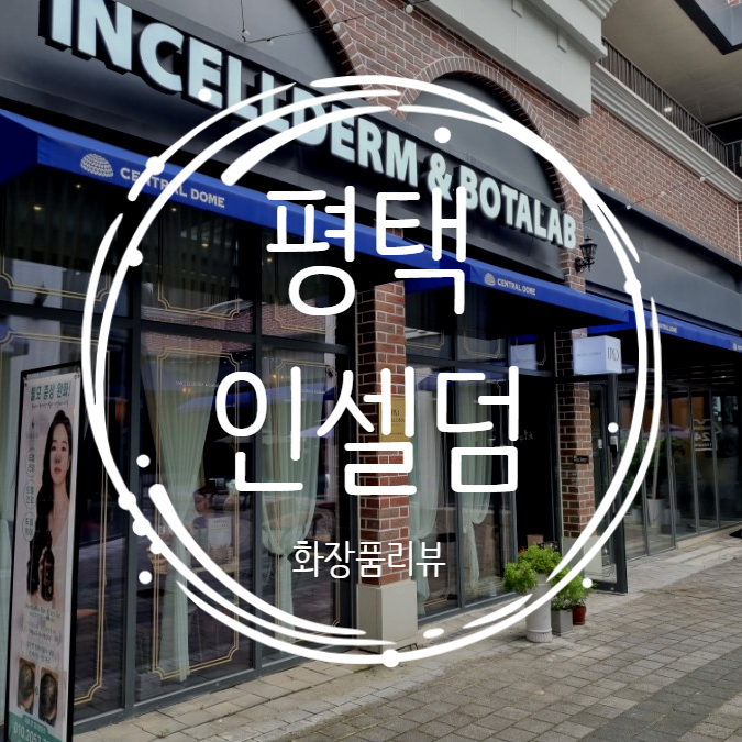  건조한 피부관리, 피지관리 평택인셀덤 제품후기