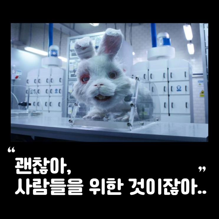 비건화장품 추천_ 오늘도 플로티에(Flotie) 하세요!