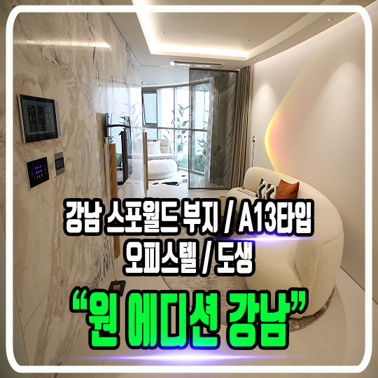 원 에디션 강남 - 스포월드 부지 (리미티드 & 하이엔드) / 정보 및 타입소개